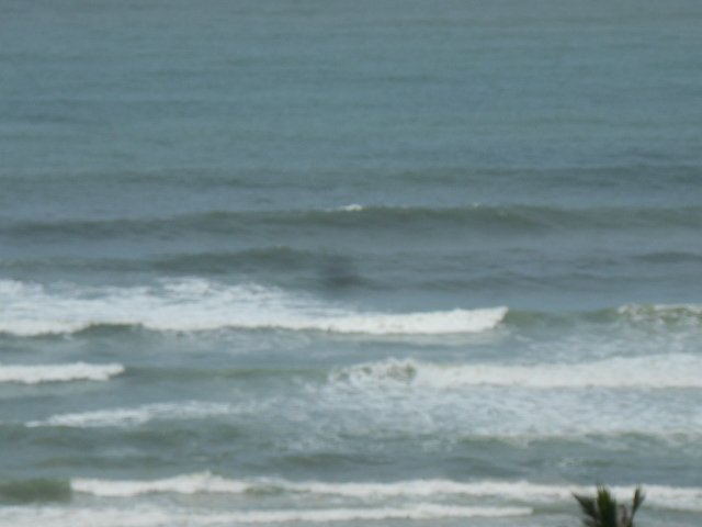 Apartamento - Venda - Pitangueiras - Guarujá - SP