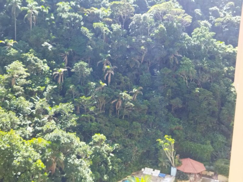 Apartamento - Venda - Pitangueiras - Guaruj - SP